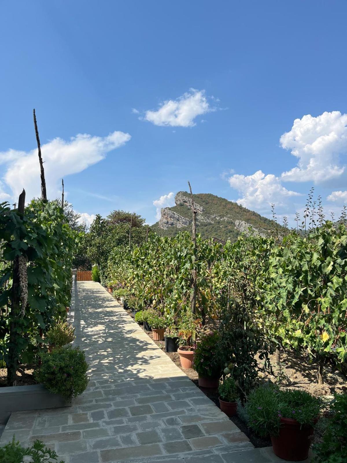 Villa Bujtina Lugina E Vjoses Përmet Exterior foto